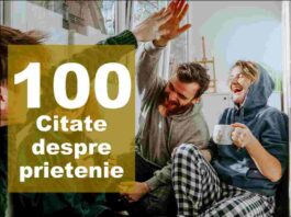 100 citate despre prietenie din care să alegi – despre prieteni buni și prietenia adevarata citate prietenie 1