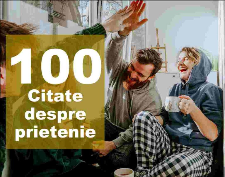 100 citate despre prietenie din care să alegi – despre prieteni buni și prietenia adevarata