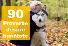 proverbe despre bunatate