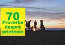 proverbe despre prietenie