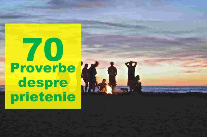 proverbe despre prietenie