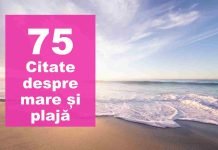 citate despre mare