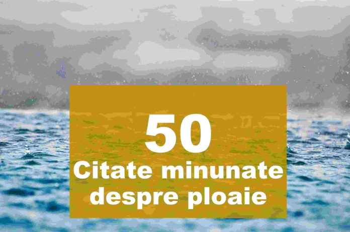 citate despre ploaie