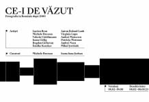 ce i de vazut mare expozitie