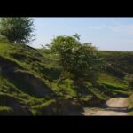 Primăvara în mijlocul naturii :)