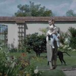 the zone of interest filme 2024