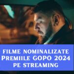 filme premiile gopo 2024 pe streaming