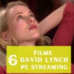filme david lynch pe streaming