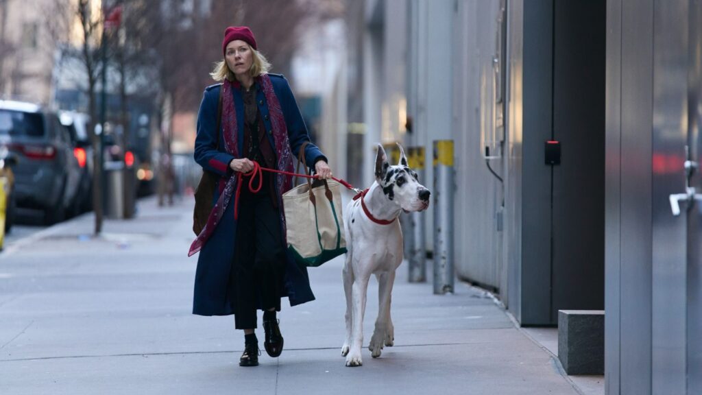 The_Friend_filme noi