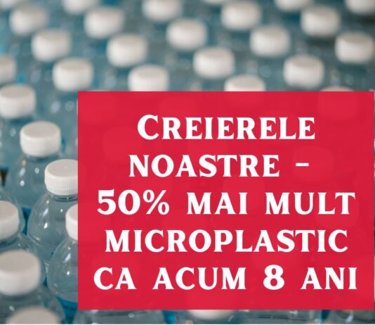 Pentru prima dată, oamenii de știință descoperă că microplasticele se acumulează adânc în creierul nostru microplastic in creier