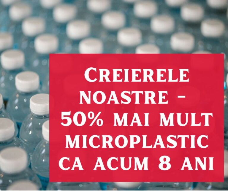 Pentru prima dată, oamenii de știință descoperă că microplasticele se acumulează adânc în creierul nostru