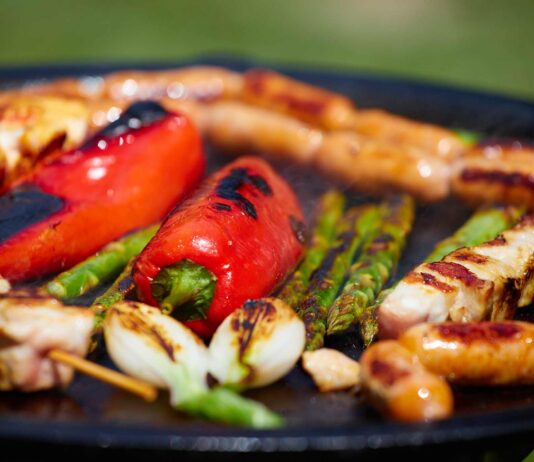 Recenzie Solo Stove Ranger împreună cu grătarul din fontă Bonfire Cast Iron Griddle recenzie solo stove feaure