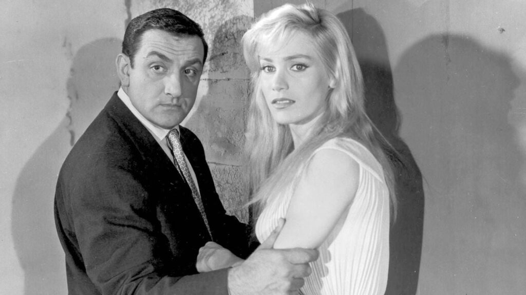 le_fauve_est_lache filme de spionaj