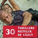 thrillere netflix de vazut (2)