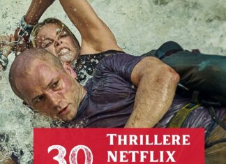 thrillere netflix de vazut (2)