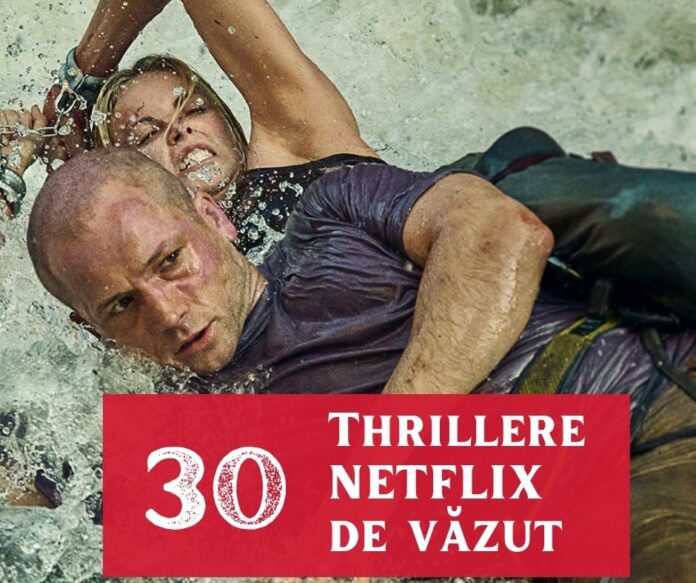 thrillere netflix de vazut (2) thrillere netflix de vazut (2)