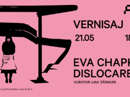 Eva Chapkin_format_Arsmonitor_Dislocare