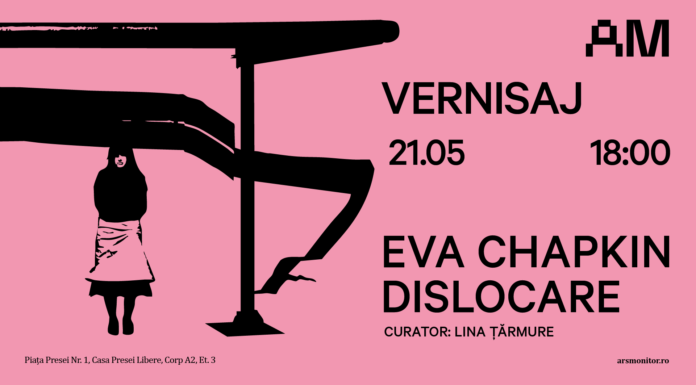 Eva Chapkin_format_Arsmonitor_Dislocare